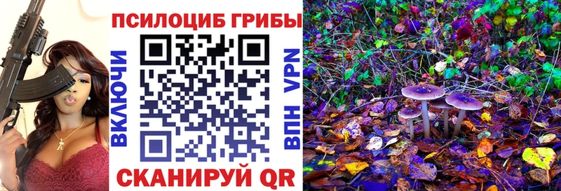 Псилоцибиновые грибы Psilocybe  Кяхта 