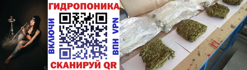 Шишки марихуана SATIVA & INDICA  mega маркетплейс  Кяхта 